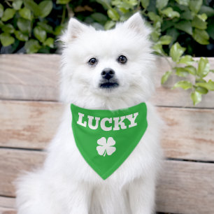 Custom green clover pet bandana collar for dog