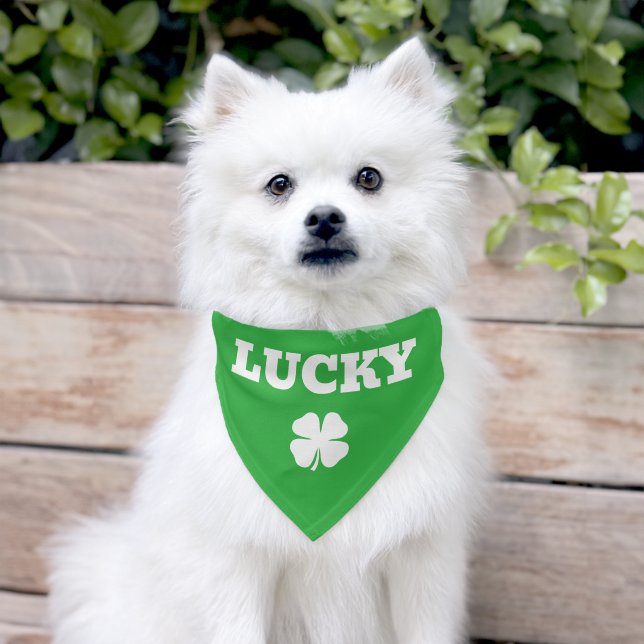 Custom green clover pet bandana collar for dog (Dog)