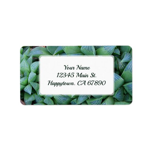Custom Green Haworthia Succulent Plant Address Label