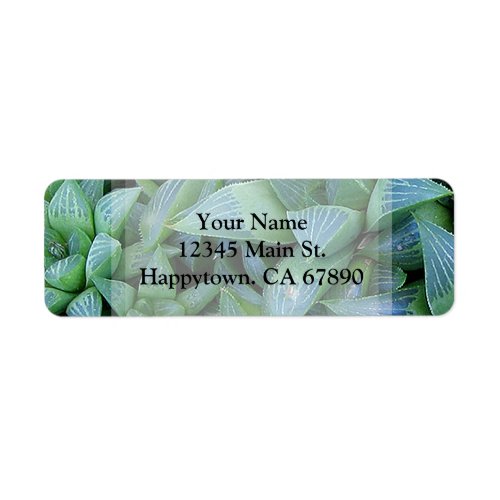Custom Green Haworthia Succulent Plant Address Label