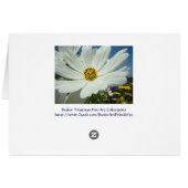 CUSTOM Greeting Cards Happy Birthday White Daisy (Back Horizontal)