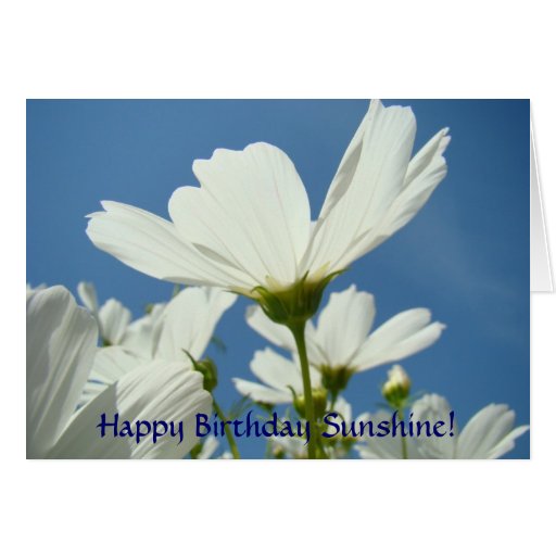 CUSTOM Greeting Cards Happy Birthday White Daisy | Zazzle