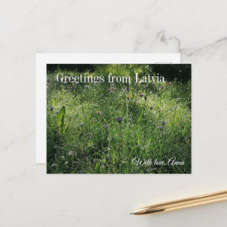 Custom Greetings from Latvia Wildflower Photograph Postcard