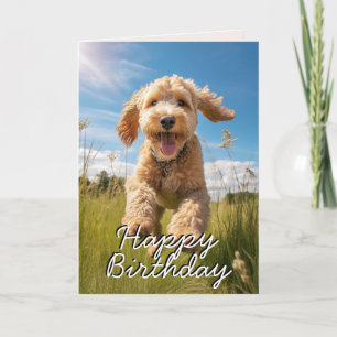 Custom Groodle Birthday Card