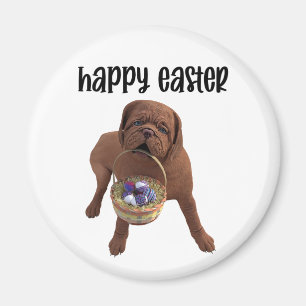 Custom Happy Easter Dog Magnet