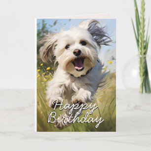 Custom Havanese Birthday Card