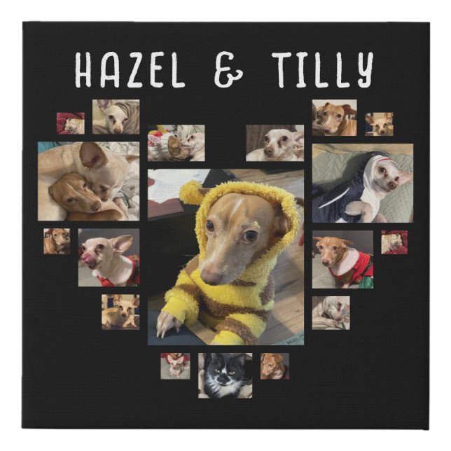 Custom Heart Photo Collage Dogs Pets Black Faux Canvas Print (Front)