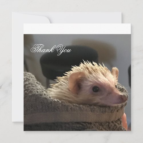 Custom Hedgehog Folded Thank You Card