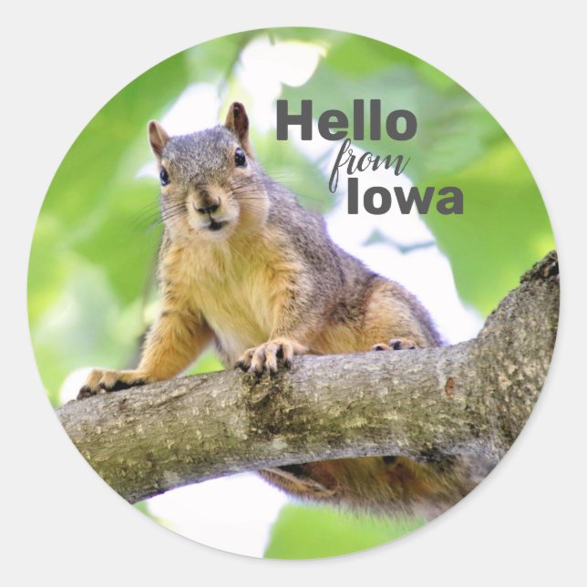 Custom Hello From Your State Envelope Seals (Front)