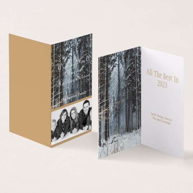 Custom Holiday Photo Winter Scene (Inside and Outside)