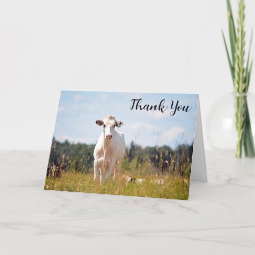 Custom Holstein Cow Thank You Card