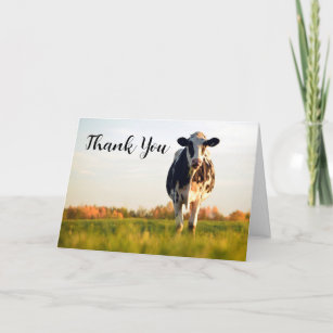 Custom Holstein Cow Thank You Card 5x7