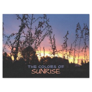 Custom Horizon Sunrise Photograph Decoupage