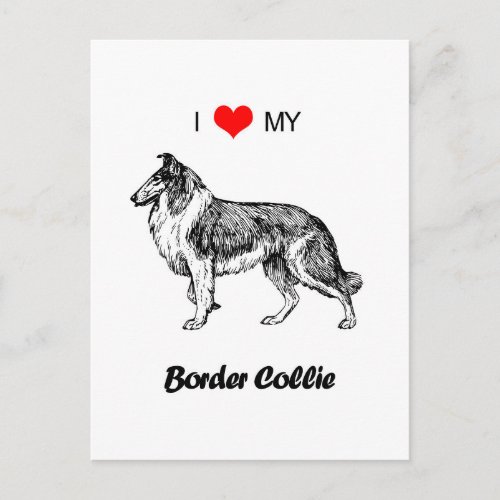 Custom I Love My Border Collie Dog Heart Postcard