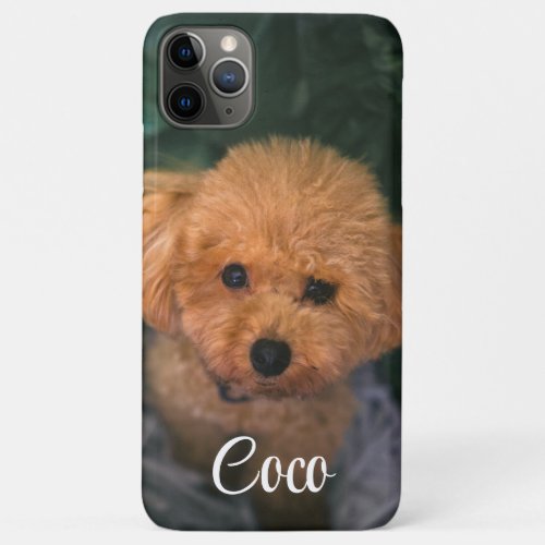 Custom Image Iphone Cover Dog Best Friend