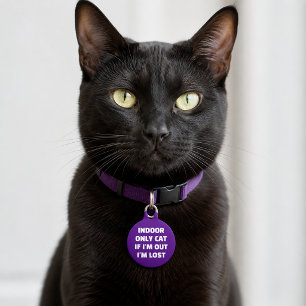 Custom Indoor Cat If Im Out Im Lost ID Pet ID Tag