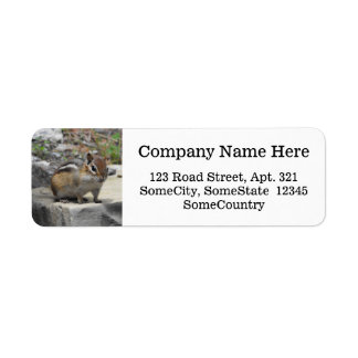 Custom Info + Cute Chipmunk Like Critter on a Rock Label