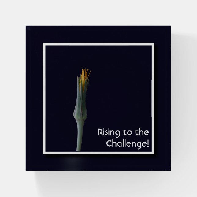 Custom Inspirational Floral Glass Paperweight (Front)