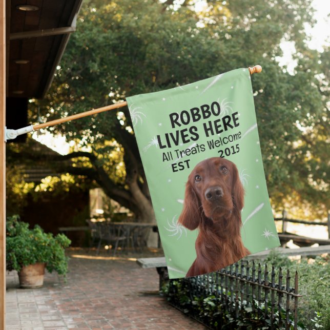Custom Irish Setter House Flag (In SItu)