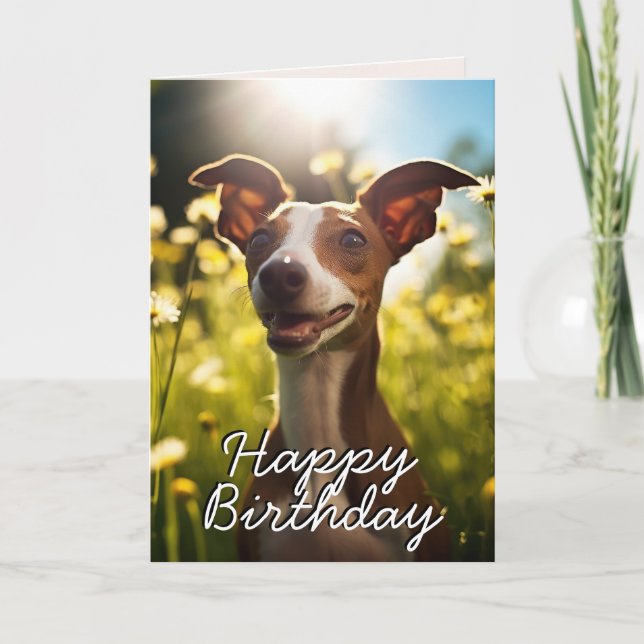 Custom Italian Greyhound Happy Birthday Card (Front)
