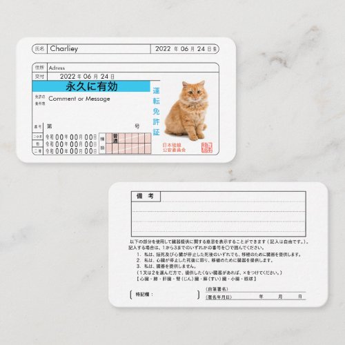 Custom Japanese Driver's License Card!! Business Card