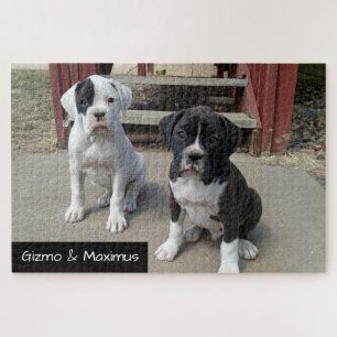 Custom Jigsaw Puzzles- Boxer Puppy Puzzle