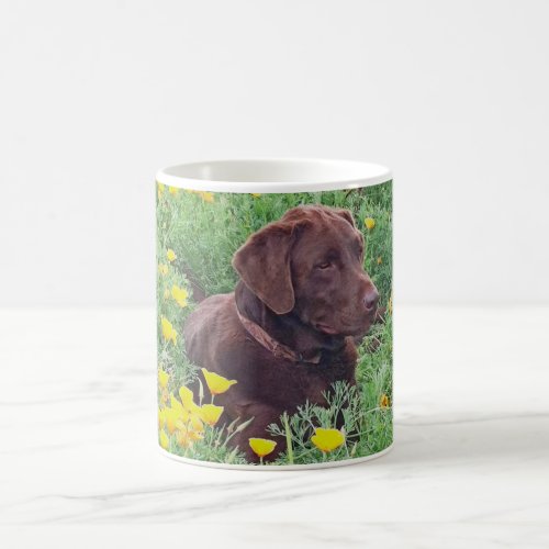 Custom Labrador Orange Poppies Placeholder Photo  Coffee Mug