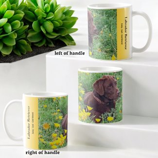 Custom Labrador Orange Poppies Placeholder Photo 