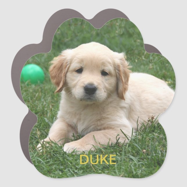 Custom Labrador Puppy Dog Photo Car Magnet (Front)