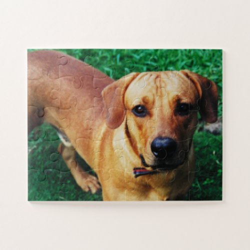 Custom Large Pieces Personalized Jigsaw Puzzle