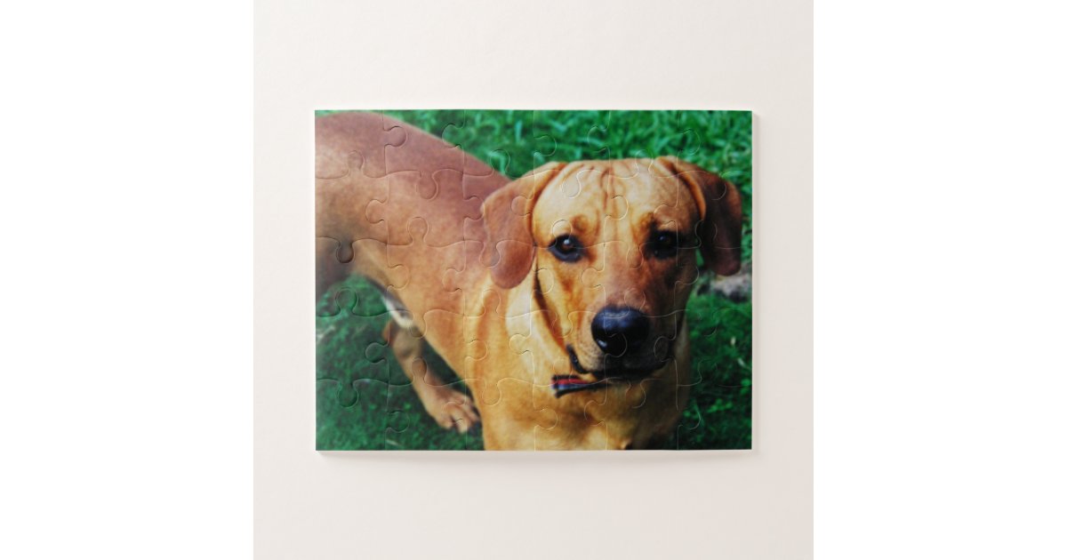 Custom Large Pieces Personalized Jigsaw Puzzle Zazzle