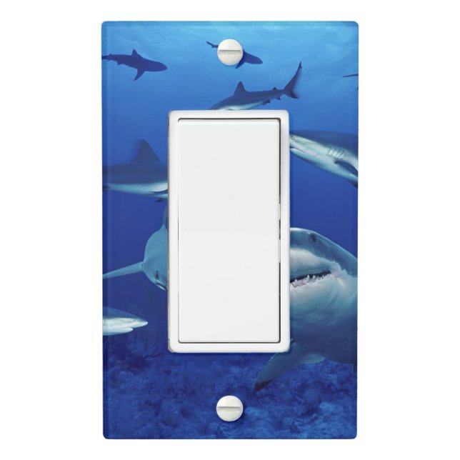 Custom Light Switch Cover-Sharks Cover (In Situ)