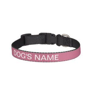 Custom Light Vivacious Classy Color Complementing Pet Collar