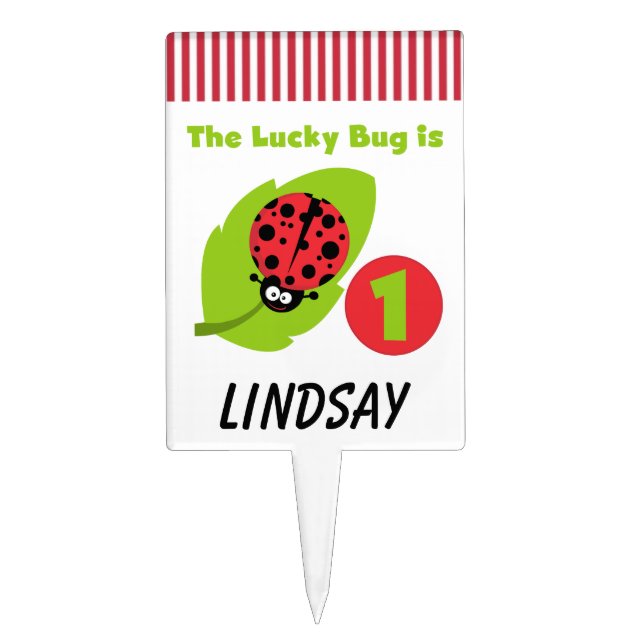 Custom Lucky Bug 1st Birthday Cake Topper (Front)