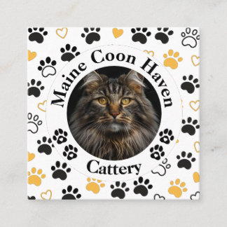 Custom Maine Coon Cattery Square Business Card