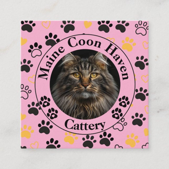 Custom Maine Coon Cattery Square Business Card  (Front)