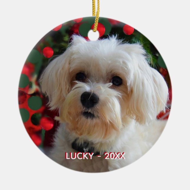 Custom Maltese Dog Photo Ceramic Ornament (Front)