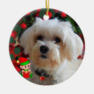 Custom Maltese Dog Photo with Cute Elf Ceramic Ornament