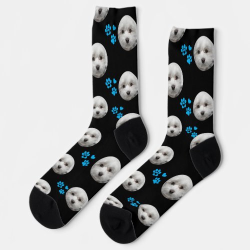 Custom Maltese Socks — Personalized Pet Photo Gift
