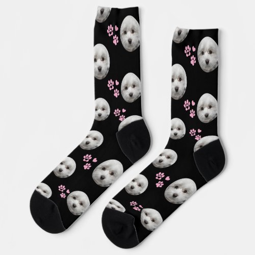 Custom Maltese Socks — Personalized Pet Photo Gift