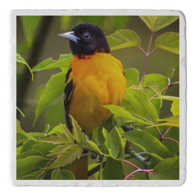 Custom Marble Stone Trivet (Front)