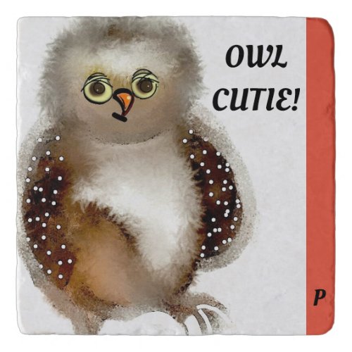 Custom Marble Stone Trivet Funny Owl