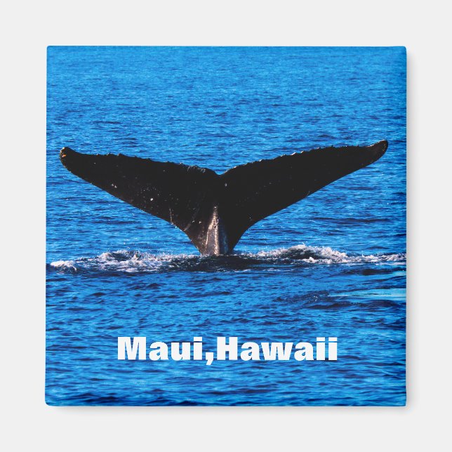 Custom Maui Humpback Whale tail magnet (Front)
