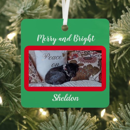 Custom Merry and Bright Red Border Pet Photo Name  Metal Ornament