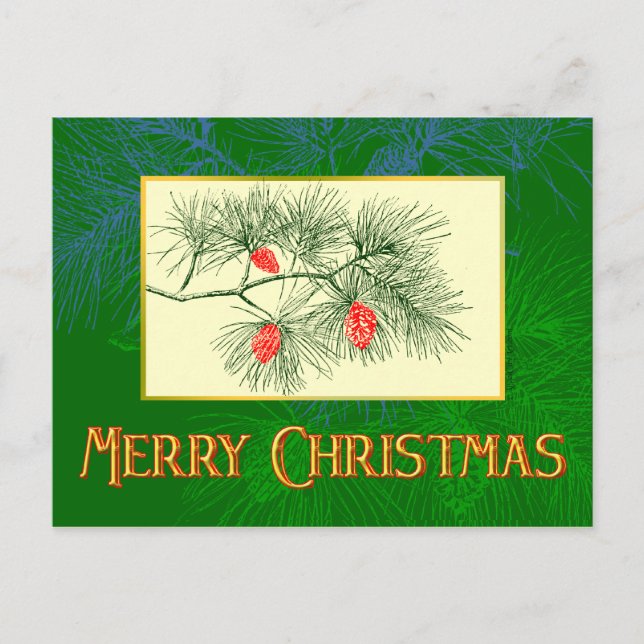 Custom Merry Christmas Green Pine Postcard (Front)
