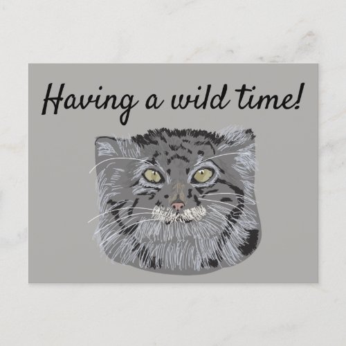 Custom Message Tibetan Pallas Cat Postcard