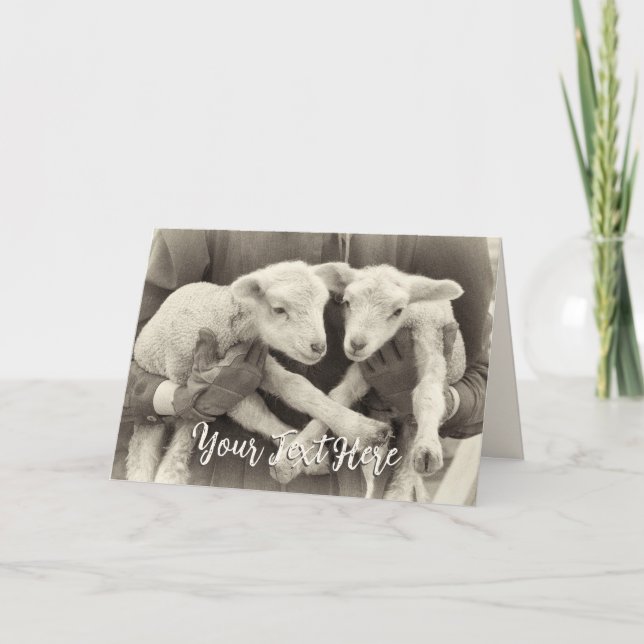 Custom Message Vintage Twin Lambs Card (Front)