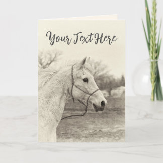 Custom Message Vintage White Horse Card