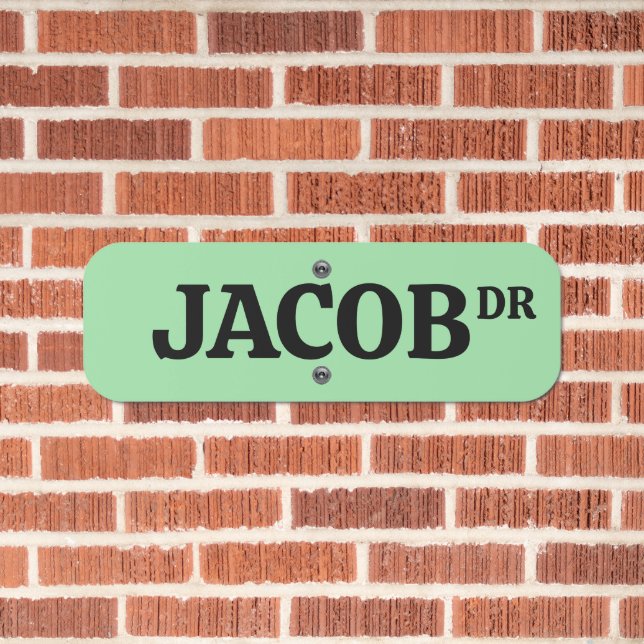 CUSTOM METAL STREET SIGN (In Situ(Brick))