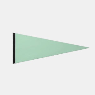 Custom Mint Green Pennant Banner Flag